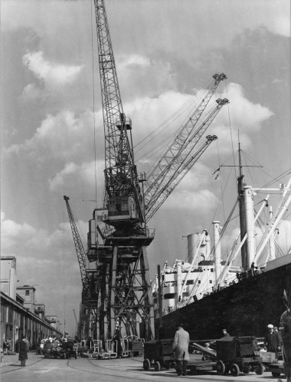 Discharging cargo Royal Albert Dock: 20th Century