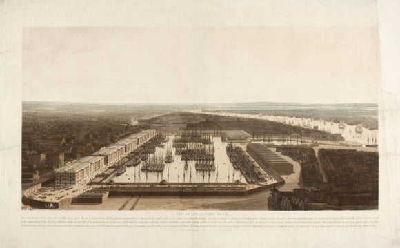 A View of the London Docks; 1808